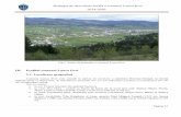 Strategia de dezvoltare locală a comunei Lunca Ilvei 2014-2020 · unui cuţit scurt, cu vârful încovoiat, utilizat la altoirea pomilor. Strategia de dezvoltare locală a comunei