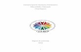 Institutul pentru Studierea Problemelor - ispmn.gov.roispmn.gov.ro/uploads/Raport 2016_final.pdf · naţionale” este extinsă către documentarea problemelor minorităţilor naţionale