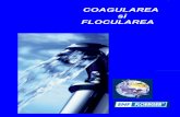 COAGULAREA si FLOCULAREA - floerger.rofloerger.ro/data/uploads/docs/prospecte/(cap.5 05R) Coagularea si flocularea.pdf · 1.2.3 Mecanismul flocularii Floculantii, cu greutatile lor