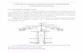 X. Detectia si recunoasterea gesturilor si posturii ...users.utcluj.ro/~tmarita/IOC/C9-10/C9_10.pdf · SDK-ul Kinenct pune la dispozitia utilizatorilor unelte utile pentru dezvoltarea