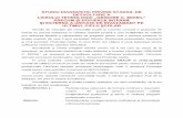 STUDIU DIAGNOSTIC PRIVIND STADIUL DE DEZVOLTARE A …liceulmoisilbuzau.ro/Joomla341/documents/ceac/documente comisie/studiu diagnostic.pdf · curriculare, în vederea organizării