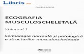 Ecografie musculoscheletala Vol.1 - Daniela Fodor musculoscheletala Vol.1 - Daniela... · sunt produse prin efectul piezoelectric. Acesta consti ... receptor de ultrasunete, gene16nd
