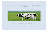 Asociatia Crescatorilor de Animale „OPERATORUL I.A.”-Neamtacaoperatorul.ro/wp-content/uploads/2017/09/0.catalog-aca-operatorul.pdf · CLASIFICAREA RASELOR DE VACI DE LAPTE Rasa