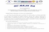 OPERATORUL REGIONAL SC RAJA SA CONSTANȚArajac.ro/wp-content/uploads/2014/03/buletin_informativ_2013.pdf · - realizează gestionarea corespunzătoare a activităților tehnice (Secția