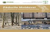 Pădurile Moldovei - Agenţia Moldsilvamoldsilva.gov.md/public/files/publication/Consum_2011.pdf · Recoltarea şi consumul lemnului ENPI FLEG Îmbunătăţirea aplicării legislaţiei