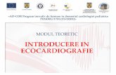 Introducere in ecocardiografie - ad-cor.road-cor.ro/wp-content/uploads/2015/09/3-Introducere-in-ecocardiografie.pdf · Sectiuni modificate ax lung: -pentru tractul de intrare VD: