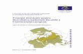 Principii directoare pentru Dezvoltarea teritorială ...geografie.ubbcluj.ro/ccau/doc_cadru/PDCE.pdf · regiunile şi colectivităţile locale, în materie de amenajare a spaţiului,