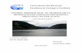 Universitatea din București Facultatea de Geologie și ...gg.unibuc.ro/wp-content/uploads/2018/05/ANASON-Maria-Angela.pdf · pentru o caracterizare mai bună a speciilor minerale