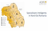 Specializare inteligenta in Nord-Est Romaniaier.gov.ro/wp-content/uploads/2019/04/Gabriela-Macoveiu_Prezentare.pdf · validare a ideilor innovative (Proof of Concept) •Regiunea