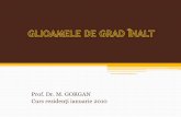 Prof. Dr. M. GORGAN Curs rezidenţi ianuarie 2010 · FACTORI DE PROGNOSTIC FAVORABIL •Vârsta 70 •Rata de proliferare (Ki-67) 5% •Absenţa contrastului