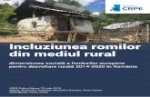 Incluziunea romilor din mediul rural - crpe.ro · dedicate, programe de dezvoltare de cooperative și alte afaceri sociale, ferme sociale, mediere, consiliere și training 1 la 1