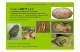 Proiect ADER 2.2.2. - madr.gov.ro fileşi a tuberculilor de cartof pentru combaterea eficientă a bolilor şi dăunătorilor din sol care atacă plăntuţele de sfeclă şi cartof