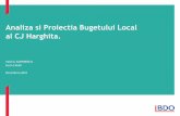 Analiza si Proiectia Bugetului Local al CJ Harghita. CJ Harghita scurt.pdf · Veniturile Bugetului Local Analiza prin comparatie cu alte CJ, in functie de puterea de cumparare Page