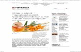 Cătina, o plantă miraculoasă, numită “ginsengul românesc ... · LikeLike ShareShare 0 Cătina, o plantă miraculoasă, numită “ginsengul românesc” şi “cel mai b...