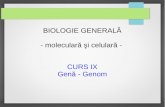BIOLOGIE GENERALĂ - moleculară şi celulară - mail.uaic.romarius.mihasan/teaching/pdfs/general_biology... · cromozomi identici şi o pereche de cromozomi de sex Genomul mitocondrial