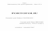 PORTOFOLIU - informaticainscoli.ro fileEvaluare iniţială: verificarea cunoștințelor legate de serviciile oferite de rețeaua Internet, și a deprinderilor de lucru cu fișiere