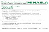 Medicago sativa / LucernăMIHAELA · Rezistenţă la ger Talie înaltă Semitardiv Medicago sativa / Lucernă Remarcat pentru calitatea furajului Soiul de lucernă Mihaela se caracterizeaza