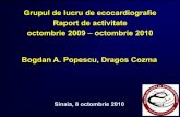 Grupul de lucru de ecocardiografie Raport de activitate activitate GLE Sinaia 2010 FINAL.pdf · Grupul de lucru de ecocardiografie Raport de activitate octombrie 2009 – octombrie