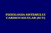 FIZIOLOGIA SISTEMULUI CARDIOVASCULAR (SCV)fiziologie.ro/didactic/2014-2015/cursuri/s1 7 C V I .pdf · Structura sistemului cardiovascular - sistem de tuburi: - pompa-cameră de admisie