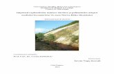 Impactul exploatărilor miniere aurifere şi polimetalice ...doctorat.ubbcluj.ro/sustinerea_publica/rezumate/2012/geologie/Istvan... · compusă dintr-un subasment pre–neogenţ,