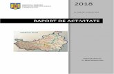 RAPORT DE ACTIVITATE - dspcluj.ro Cluj_Raport de activitate pe anul... · d) Mortalitatea specifică pe cauze mai crescută în mediul rural, in special pentru bolile aparatului circulator
