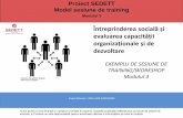 evaluarea capacității - sedett.eu€¦evaluarea capacității organizaționaleși de dezvoltare EXEMPLU DE SESIUNE DE TRAINING/WORKSHOP Modulul 3 Project Reference : 2016-1-UK01-KA203-024560