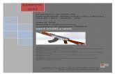 ANALIZA NIVELULUI DE ACCELERAŢII - mta.ro · Au fost create modele 3D pentru armele studiate: carabina SKS, HK G36, sistemul AK, pistolul calibru 9mm. Aceasta Aceasta a permis o