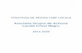 Asociatia Grupul de Actiune Locala Crisul Negrugalcrisulnegru.ro/wp-content/uploads/2018/06/V2_SDL-Final.pdf · Strategia este elaborata plecind de la consultarea populatiei locale