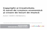 Copyright și Creativitate. O sursă de creștere economică ... · Studii relevante precedente în domeniul cercetării 11 puterea de cumpărare a populației, analiza încadrării