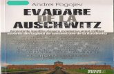 ANDREI POGOJEV - 101books.ru · Andrei Pogojev Amintirile inedite despre evadarea unui militar sovietic din lagărul de concentrare de la Auschwitz Traducere din limba engleză de