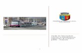 Studiu de Oportunitate referitor la achiziționarea ... oportunitate-tramvaie... · Studiu de trafic privind înnoirea flotei de transport public ... RAR Registrul Auto Român RCA
