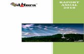 Raport anual individual 2018 DAFORA · Dafora – Raport anual 2018 2 CUPRINS Pagina Prezentare companie 3 Declaratia Administratorului Special 5 Scurta descriere a activitatii de