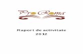 Raport de activitate 2012 - asociatiaproroma.ro fileRezultate măsurabile: conceperea unor proiecte cu rezultate măsurabile, care vor demonstra comunităţii cum ar putea să se dezvolte