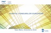 AUDITUL FONDURILOR EUROPENE - theassociates.ro · Auditul financiar independent al proiectelor este o obligatie contractuala ce revine beneficiarilor de finantare in cadrul programelor