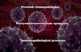 Procesele imunopatologice. - morfopatologie.usmf.md. Procesele... · Tema. Procesele imunopatologice. Micropreparate: №200. Hiperplazia foliculilor limfatici lienali în stimulare