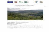 STRATEGIA DE DEZVOLTARE LOCALĂ GAL ŢINUTUL HAIDUCILORgaltinutulhaiducilor.ro/wp-content/uploads/2013/06/Plan-de-dezvoltare... · Proiectul de 75 km şi 750 Mil. Euro 2 ar urma să