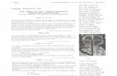 ACDSee PDF Image. - memoria-ethnologica.ro · memoria ethnologica nr. 8-9 iulie - decembrie 2003 (An Ill) Colectia PARASCA FÄT Fata Pädurii si Omul Noptii. Frumuselele. Reprezentäri