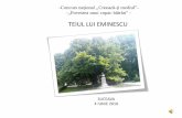 TEIUL LUI EMINESCU - alicuza.falticeni.ro lui Eminescu.pdf · Înopera lui Mihai Eminescu, G. ălinescuafirmăc ăpoetul are printre copaci câtevaesenţela care ţineînchip deosebit,