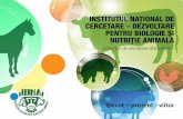 trecut prezent - viitor - ibna.ro · Integrare europeană Rezultate ... ICNA –Institutul de Cercetari pentru Nutritia Animală IBNA –Institutul de Biologie si Nutritie Animala