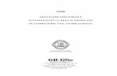 AMR - ganz.ro tehnica AMR.pdf · - Sistemul de alimentare şi de reglare a aerului de ardere, cu clapeta de aer cu servomotor - Sistemul de reglare al turbionării şi al presiunii