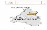 Plan de Dezvoltare Locală GAL Muntele Şes Bihor filePlan de dezvoltare locală –GAL Muntele Şes Bihor 2012 2 Cuprins I. PLAN DE DEZVOLTARE LOCALĂ 1 I.1.Lista localităţilor