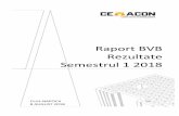 Raport BVB Rezultate Semestrul 1 2018 - cemacon.ro · Total Datorii Curente 25,993,835 25,447,915 545,920 2% DATORII PE TERMEN LUNG Datorii comerciale si similare - - - 0%