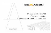 Raport BVB Rezultate Trimestrul 1 2019 - cemacon.ro · Active Nete Total Datorii. Page 7 of 9 Rezultatele Consolidate ale Grupului CEMACON SA Informatii cu privire la prezentarea