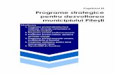Capitolul III Programe strategice pentru dezvoltarea ... filec. Programul de realizare a unui centru intermodal care să ofere posibilitatea de transferare a mărfurilor între cele