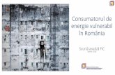 Consumatorul de energie vulnerabil în România - coalitia.org · 1. Sărăcia energetică și consumatorul vulnerabil în UE Dificultăți în definirea conceptului de consumator