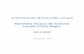 Asociatia Grupul de Actiune Locala Crisul Negrugalcrisulnegru.ro/wp-content/uploads/2019/04/SDL_V4.pdf · măsura M7/3A – Promovarea formelor asociative__, conform pct. __2_, ...