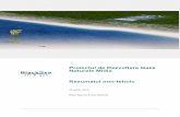 Proiectul de Dezvoltare Gaze Naturale Midia Rezumatul non ... · BSOG Versiunea 0 2 16 aprilie 2019 Rezumatul non-tehnic Proiectul de Dezvoltare Gaze Naturale Midia Titlul documentului