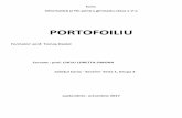 PORTOFOILIU - informaticainscoli.roinformaticainscoli.ro/lib/exe/fetch.php?media=chivu_loretta...Proprietati:claritate, finitate, succesiunea determinata a pasilor, universalitate,