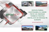 brosura RO print - Biogasheat · pentru producerea electricității în centrale termice și electrice. Totuși, în multe cazuri, Totuși, în multe cazuri, energia termică din