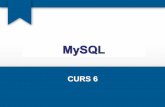 CURS 6 - elth.pub.roelth.pub.ro/~abordianu/cursIA6.pdf · CURS 6. 1. Introducere • Structured Query Language (Limbaj structurat de interogare). • MySQL este un sistem client/server